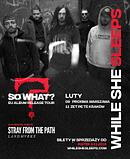 Koncert While She Sleeps, Stray From The Path, Landmvrks