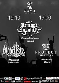Plakat - Revenge Insanity, Protect This City