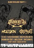 Koncert Drown My Day, Moleskin, Infearnite