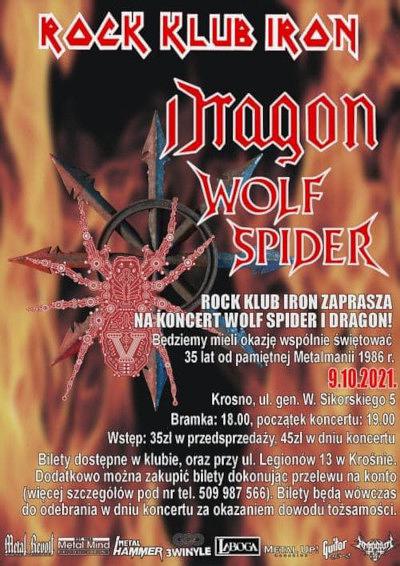 Plakat - Dragon, Wolf Spider