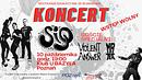 Koncert SIQ, Violent Answer, Mr. Tea