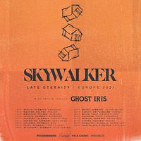 Plakat - Skywalker, Ghost Iris, Pale Path