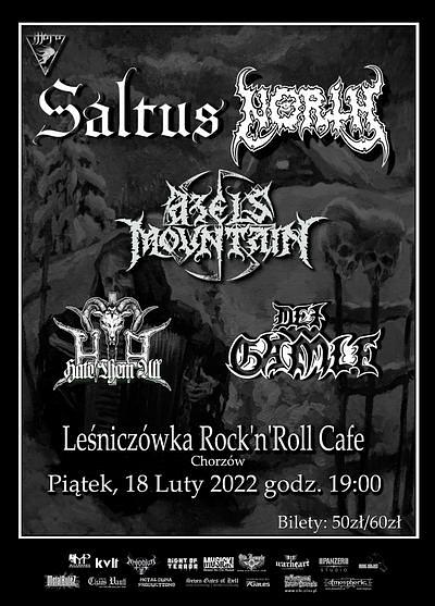 Plakat - Saltus, Azel's Mountain, North