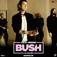 Plakat - Bush, Cochise