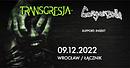 Koncert Transgresja, Gorgonzolla, Insekt
