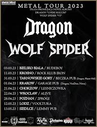 Plakat - Dragon, Wolf Spider