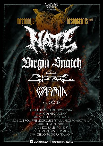 Plakat - Hate, Virgin Snatch, Thy Disease