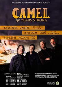 Plakat - Camel