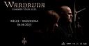 Koncert Wardruna