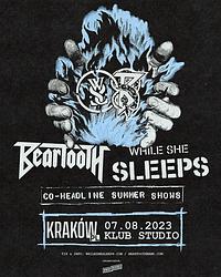 Plakat - While She Sleeps, Beartooth