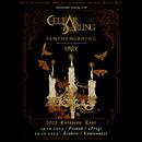 Koncert Cellar Darling, Iamthemorning, Maer