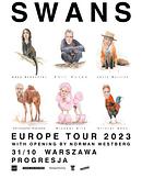 Koncert Swans, Norman Westberg