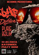 Koncert bHP, Datura, Pure Bedlam