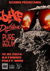 Plakat - bHP, Datura, Pure Bedlam