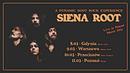 Koncert Siena Root