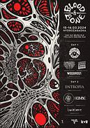 Koncert Blood and Bone