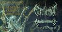 Koncert Replicant, Anachronism, Cursebinder