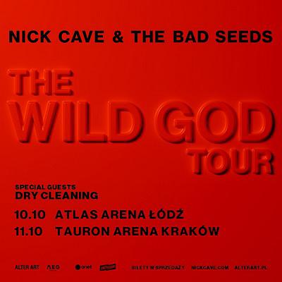 Plakat - Nick Cave And The Bad Seeds, Dry Cleaning