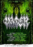 Koncert Vader