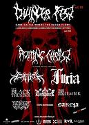 Koncert Thunder Fest, vol. XII
