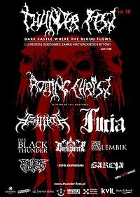 Plakat - Thunder Fest, vol. XII