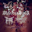 Koncert Martwa Aura, Towards Hellfire, Annihilation Vortex 