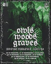 Plakat - Owls Woods Graves, Above Aurora