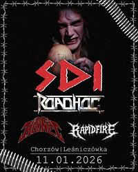 Plakat - S.D.I., Roadhog, Hornet, Rapidfire