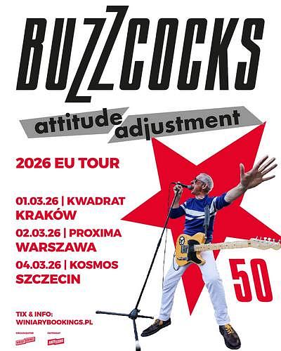 Plakat - Buzzcocks