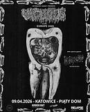 Koncert Vacuous, Bastard Mycosis