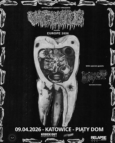 Plakat - Vacuous, Bastard Mycosis