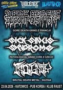Koncert Sublime Cadaveric Decomposition, Sick Sinus Syndrome, Indignity
