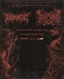 Koncert Dodsrit, Lamp of Murmuur