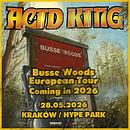 Koncert Acid King