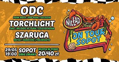 Plakat - ODC, Torchlight, Szaruga