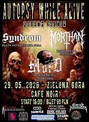 Koncert Syndrom, Morthan, Mord