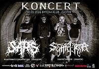 Plakat - Sars, Symetria