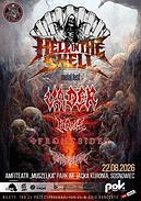 Koncert Hell in the Shell
