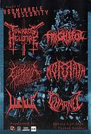 Koncert Towards Hellfire, Frightful, Morrath, Lucille, Elektrytuał, Charnel