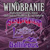 Plakat - Winobranie Plakat - Winobranie