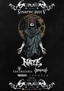 Koncert Synaptic Fest V